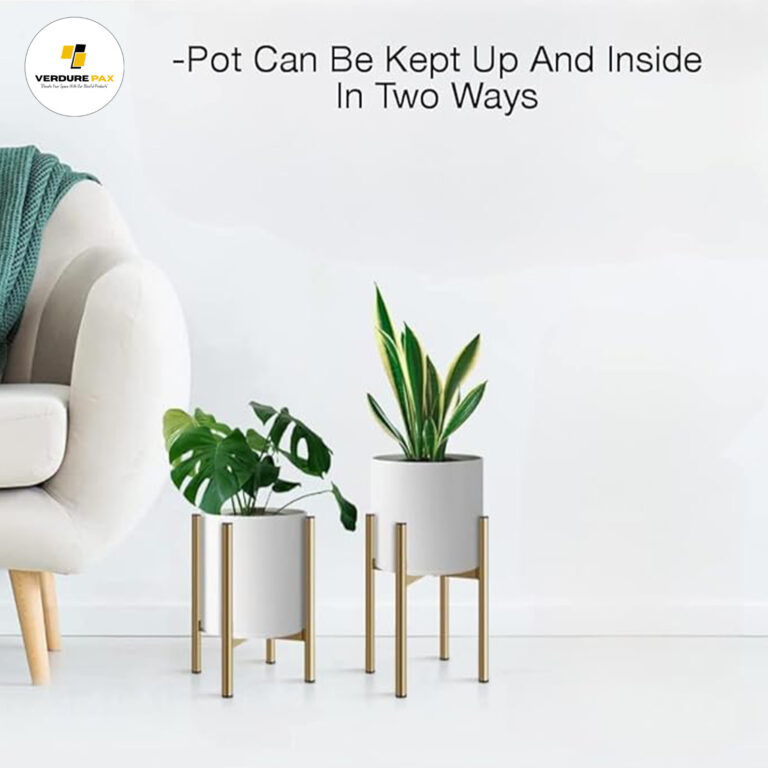 Indoor plants