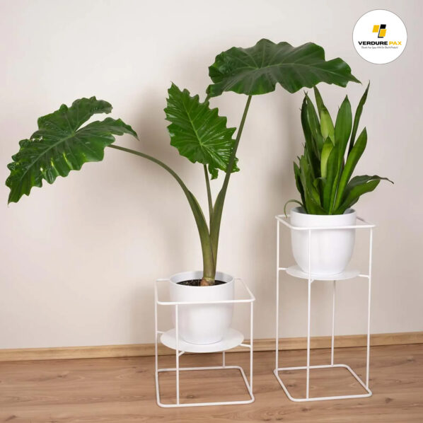 VERDURE PAX solid steel plant stand black or white With out Pot - Image 2