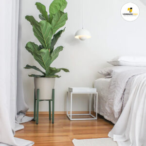 VERDURE PAX Premium 2 Tier Kitchen Pot Stand