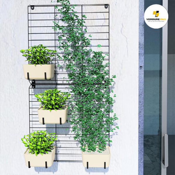 VERDURE PAX Steel Wall Mounted Plant Stand Holder Hanger Rack, Wall Mounting Planter Stand For Living Room Hanging Pots in Balcony Garden, Indoor Outdoor Decor - (Black, Set of 2)