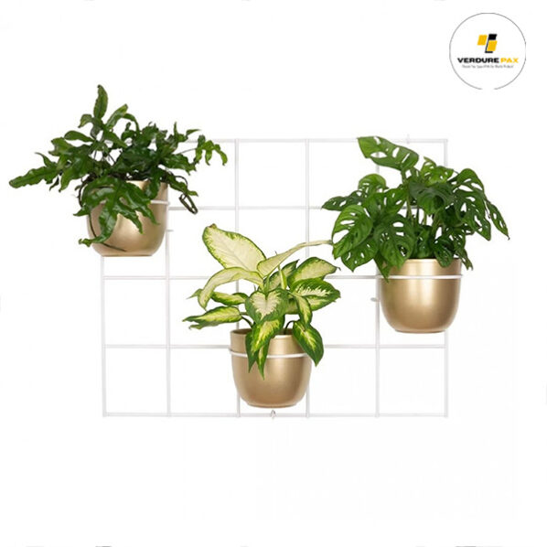 VERDURE PAX wall trellis grid plant hanger - Image 4