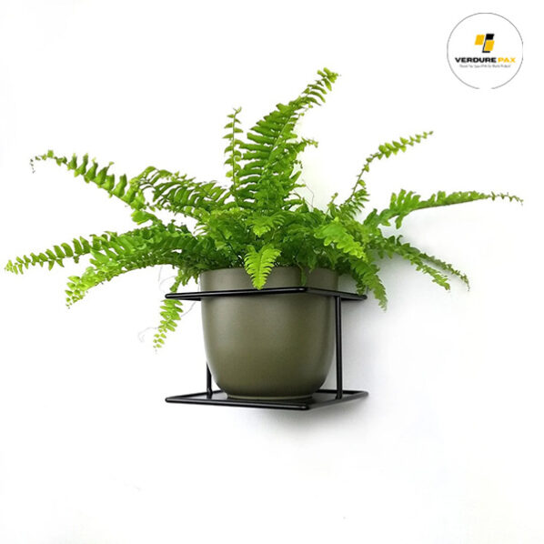 VERDURE PAX Flora - wall metal plant hanger, Pflanzenaufhänger, Kwietnik, plant holder - Image 4