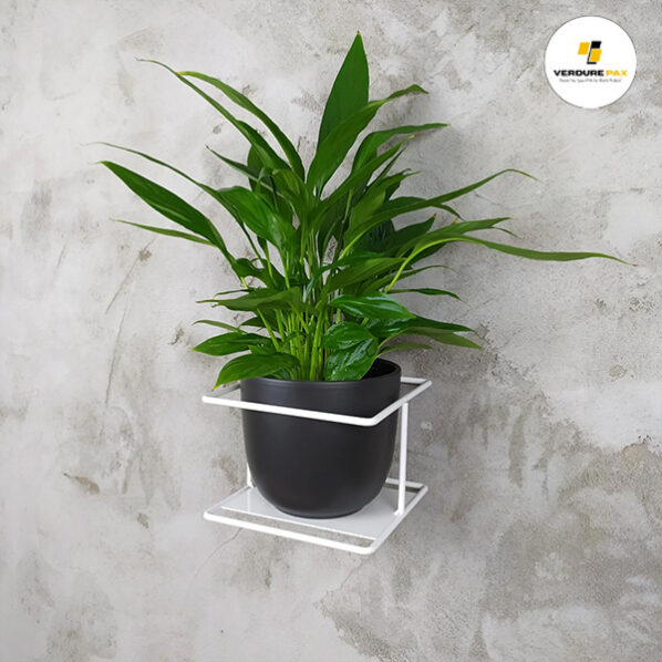 VERDURE PAX Flora - wall metal plant hanger, Flowerpot, Flower stand, plant holder - Image 4