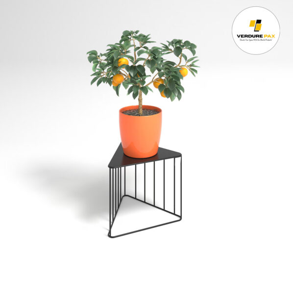VERDURE PAX Steel plant stands on a triangle base, Flower stand, Plant Rack, Plant Support, Industrial style, Book shelf Black - Image 3