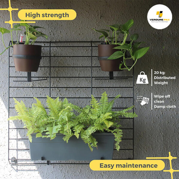 VERDURE PAX Steel Wall Mounted Plant Stand Holder Hanger Rack, Wall Mounting Planter Stand For Living Room Hanging Pots in Balcony Garden, Indoor Outdoor Decor - (Black, Set of 2) - Image 4