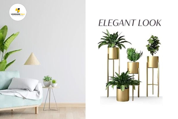 VERDURE PAX GOLDEN INDOOR PREMIUM POT STAND - Image 6