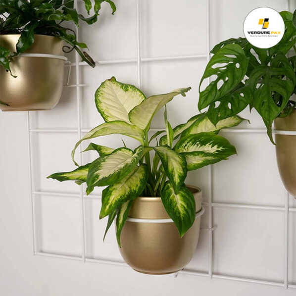 VERDURE PAX wall trellis grid plant hanger - Image 6
