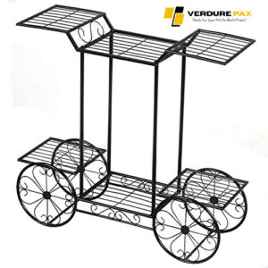 VERDURE PAX MULTI-TIER CAR TYPE DESIGNING STAND