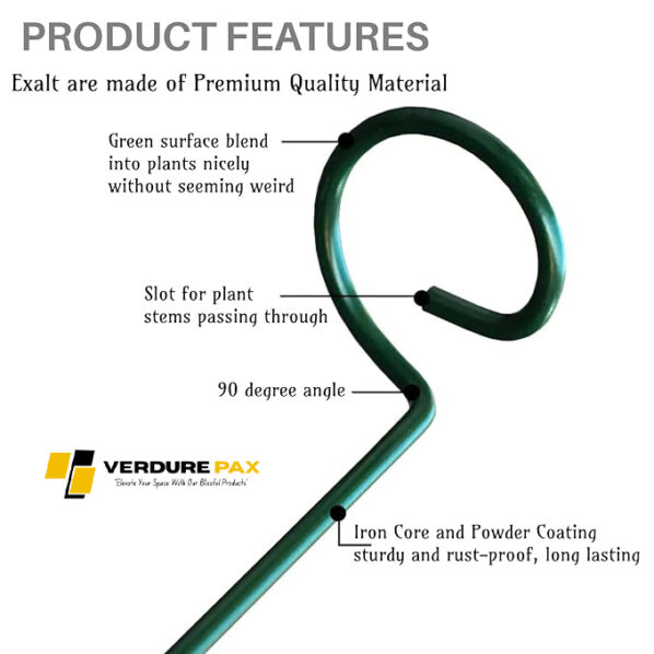 Verdure Pax Premium Plant Support Stakes, Sturdy Metal Construction for Strong and Healthy Plant Growth (Light Green - 5 pcs) - Image 3