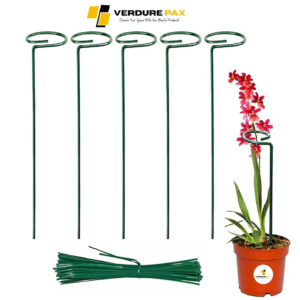 Verdure Pax Premium Plant Support Stakes, Sturdy Metal Construction for Strong and Healthy Plant Growth (Light Green - 5 pcs)