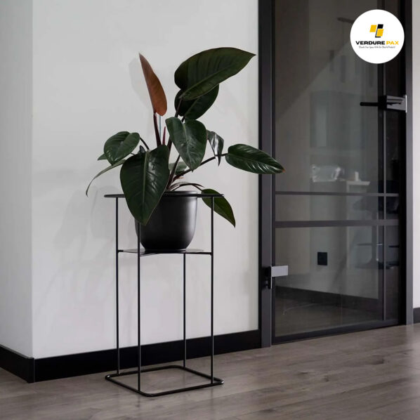 VERDURE PAX solid steel plant stand black or white With out Pot - Image 9