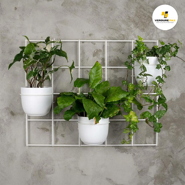 VERDURE PAX wall trellis grid plant hanger - Image 9