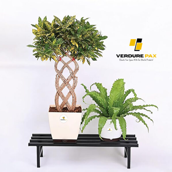 Verdure Pax Square Tube Plant Stand | Heavy Duty Iron Pot Stand for Balcony, Home Decor, Indoor and Outdoor Use - Image 4