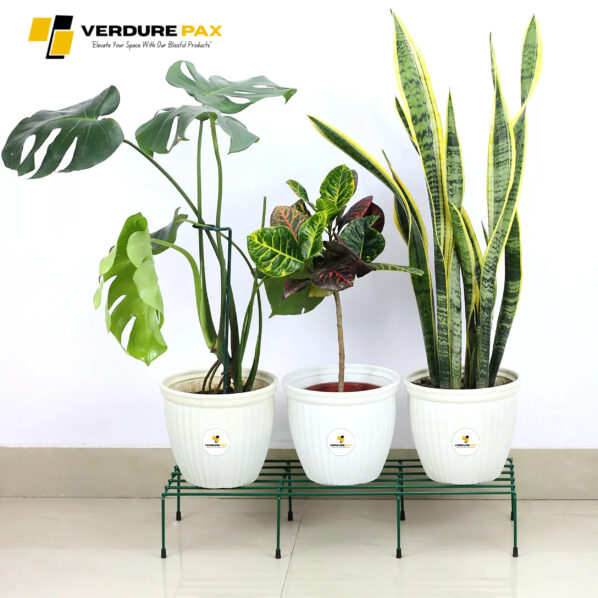 VERDURE PAX RECTANGULAR GREENY  FLOWER POT STAND - Image 6