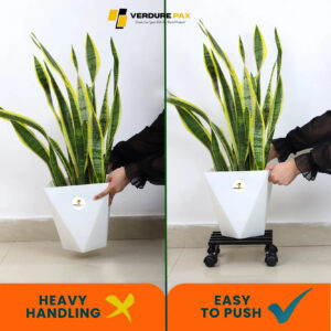 before_after_wenp_deaac1a8-4d9a-49fb-962b-c1fd32ba7aec