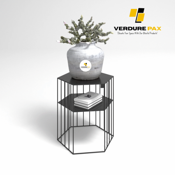 VERDURE PAX Steel plant stands on a hexagon base - Flower stand, Plant Rack, Plant Support, Industrial style, Book shelf black - Image 2