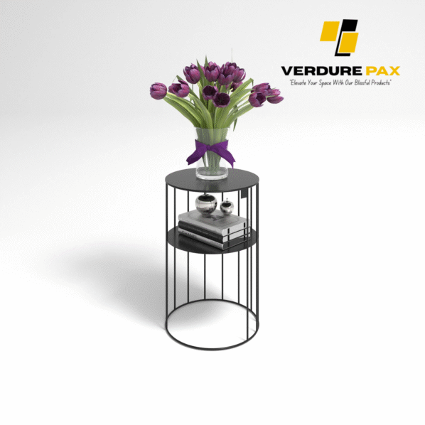 VERDURE PAX Steel plant stands on a Circle base ,Flower stand, Plant Rack, Plant Support, Industrial style, Book shelf Black Color - Image 3