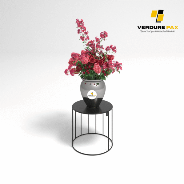 VERDURE PAX Steel plant stands on a Circle base ,Flower stand, Plant Rack, Plant Support, Industrial style, Book shelf Black Color - Image 4