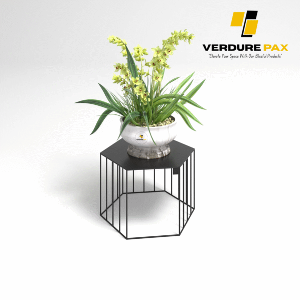 VERDURE PAX Steel plant stands on a hexagon base - Flower stand, Plant Rack, Plant Support, Industrial style, Book shelf black - Image 3