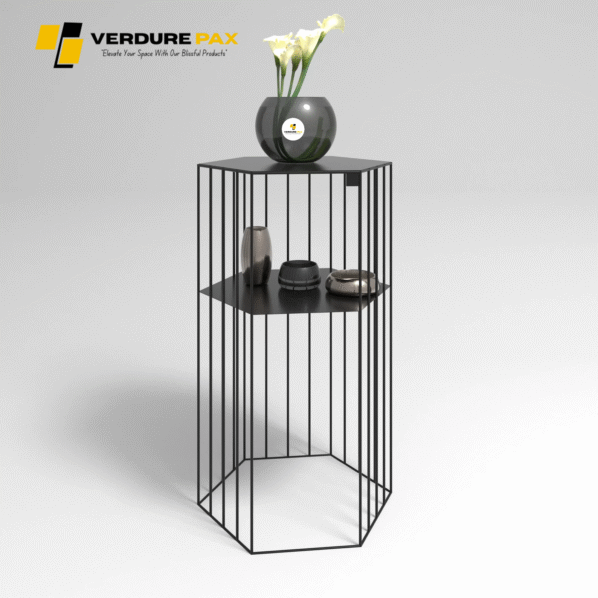 VERDURE PAX Steel plant stands on a hexagon base - Flower stand, Plant Rack, Plant Support, Industrial style, Book shelf black - Image 4