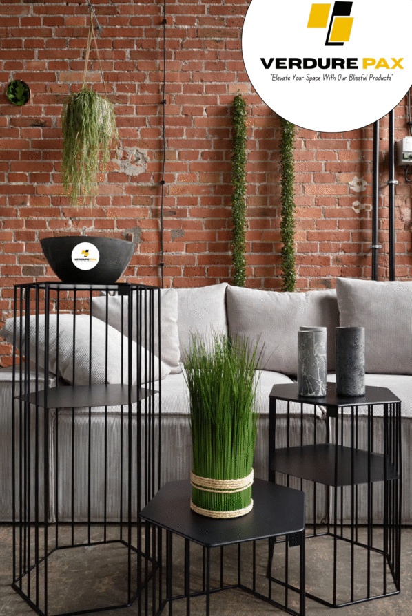 VERDURE PAX Steel plant stands on a hexagon base - Flower stand, Plant Rack, Plant Support, Industrial style, Book shelf black - Image 5