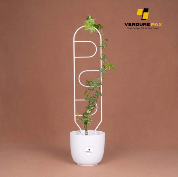 VERDURE PAX metal plant support  white trellis for indoor plant / Plant stake White - Image 2