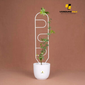 VERDURE PAX metal plant support  white trellis for indoor plant / Plant stake White