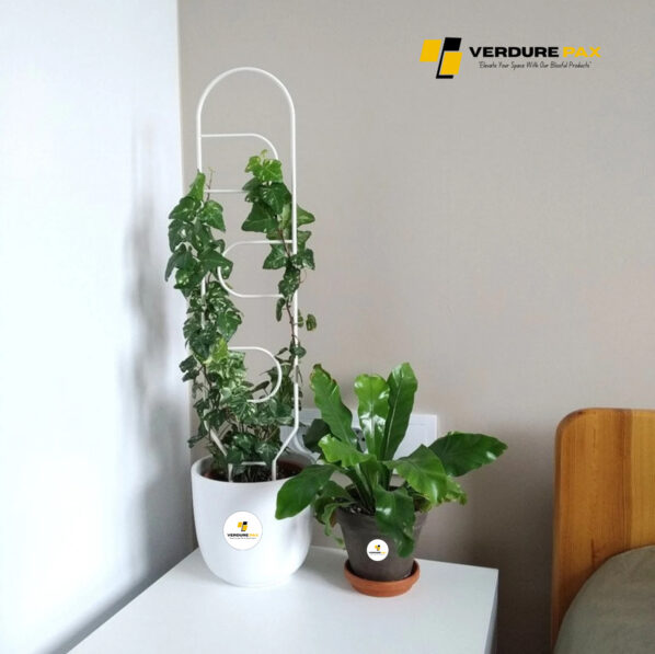 VERDURE PAX metal plant support  white trellis for indoor plant / Plant stake White - Image 4