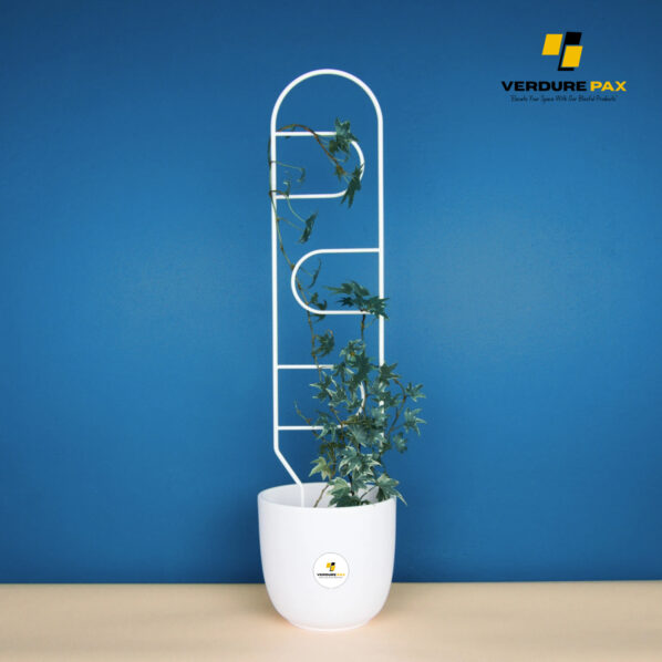 VERDURE PAX metal plant support  white trellis for indoor plant / Plant stake White - Image 5