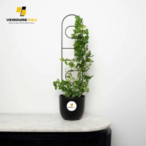 VERDURE PAX metal plant support black trellis for indoor plant / Plant stake Black