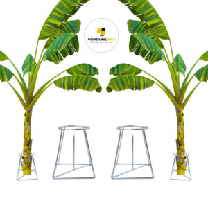 VERDURE PAX BANANA TREE HOLDER FOR POOJA STAND