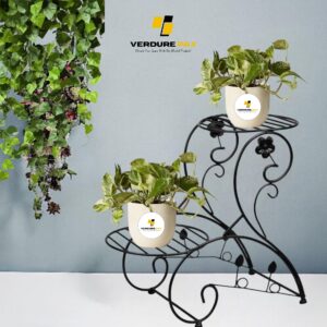 VERDURE PAX FRUMOS PLANT TWO TIER STAND